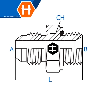Adaptateur M.JIC x M.BSPP avec joint en élastomère