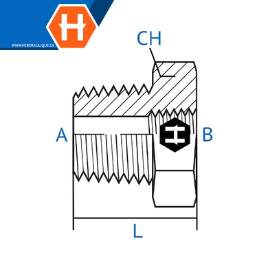 Adaptateur M.BSPT x F.BSPT 