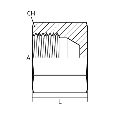 Cap F.Komatsu