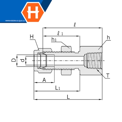 Connecteur Hy-Lok SS316 passe-cloison tube x F.NPT