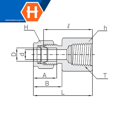 Connecteur Hy-Lok SS316 tube x F.NPT