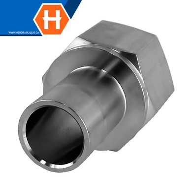 Adaptateur Hy-Lok SS316 tube lisse x F.NPT