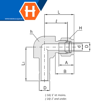 Adapt. Hy-Lok 90° SS316 tube lisse x F.NPT ajust.
