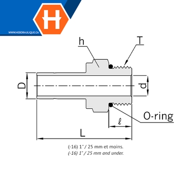 Adaptateur Hy-Lok SS316 tube lisse x M.ORB