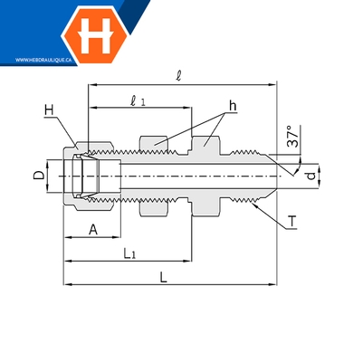 Connecteur Hy-Lok SS316 passe-cloison tube x M.JIC