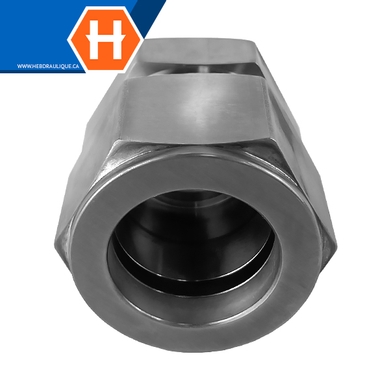 Cap Hy-Lok SS316 pour bout de tube