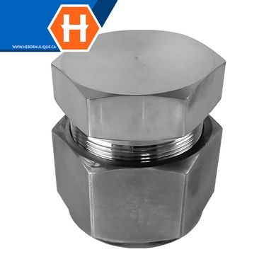 Cap Hy-Lok SS316 pour bout de tube