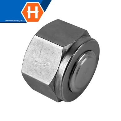 Bouchon Hy-Lok SS316 pour port