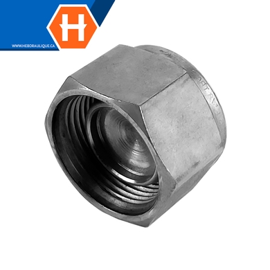Bouchon Hy-Lok SS316 pour port