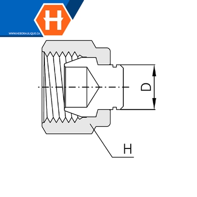 Bouchon Hy-Lok SS316 pour port