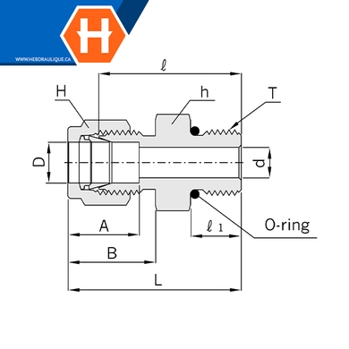 Connecteur Hy-Lok SS316 tube x M.ORB