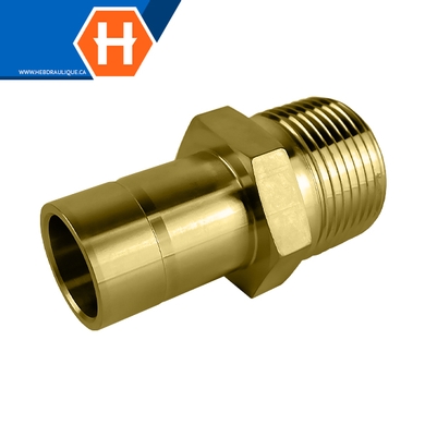 Adaptateur Hy-Lok laiton tube lisse x M.NPT