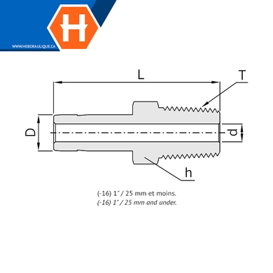 Adaptateur Hy-Lok laiton tube lisse x M.NPT