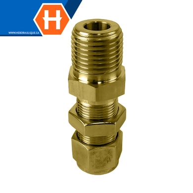 Connecteur Hy-Lok laiton passe-cloison tube x M.NPT