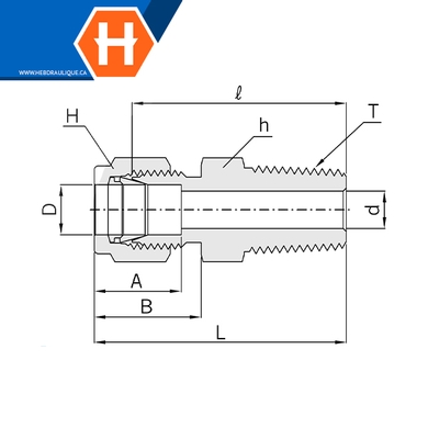 Connecteur Hy-Lok laiton tube x M.NPT