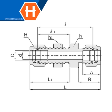 Union Hy-Lok laiton passe-cloison tube x tube
