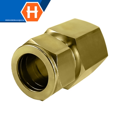 Connecteur Hy-Lok laiton tube x F.NPT
