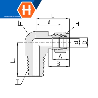 Connecteur Hy-Lok coude 90° laiton tube x M.NPT