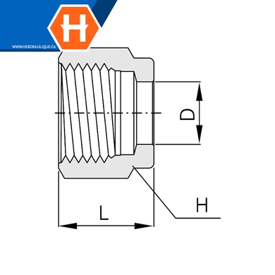 Noix Hy-Lok SS316