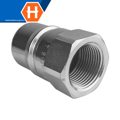 Coupleur rapide à pointeau (embout) F.NPT - ISO B