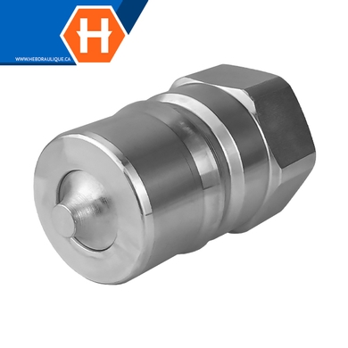 Coupleur rapide à pointeau (embout) F.NPT - ISO B