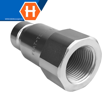 Coupleur rapide face-plane (embout) F.NPT