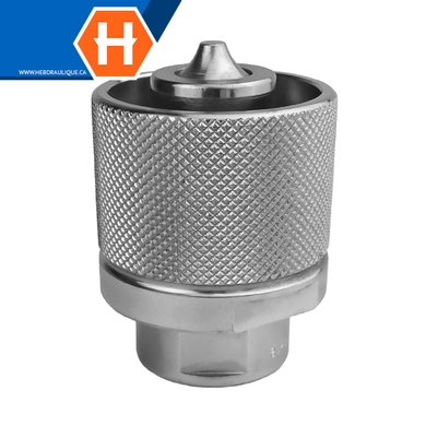 Coupleur rapide à visser (embout) F.NPT