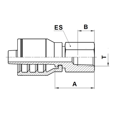 Raccord 1pc fem. NPT fixe