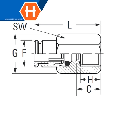 Connecteur laiton fem. push-connect métriq. x F.BSPP