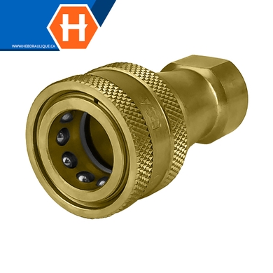 Coupleur rapide tout usage (corps) F.NPT - ISO B