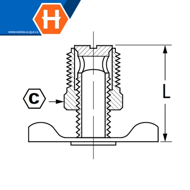 Valve de drain (siège externe) laiton - M.NPT