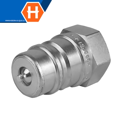 Coupleur rapide agricole (embout)