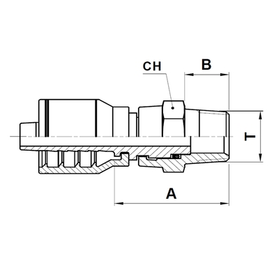 Raccord 1pc mâle NPT tournant