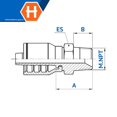 Raccord réutilisable pour boyau hydraulique 2SN (R2AT) 1/4-3/8-1/2 - MBID  CANADA