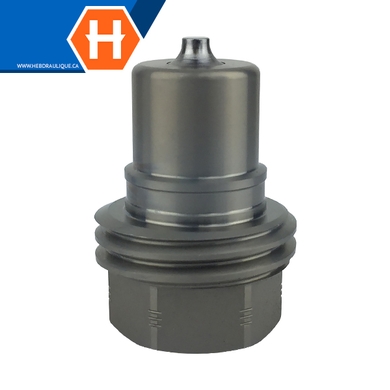 Coupleur à visser double action (embout) F.NPT