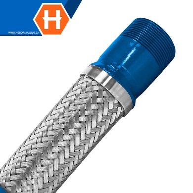 Boyau flexible standard embouts mâles NPT en acier