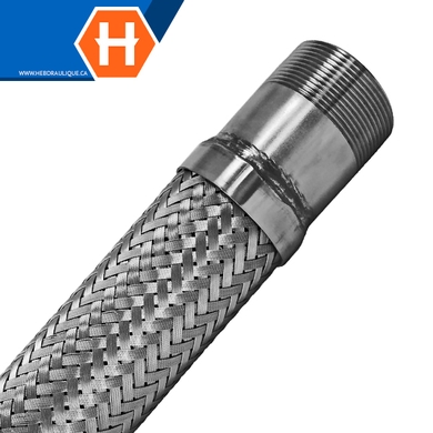 Boyau flexible standard embouts mâles NPT en inox