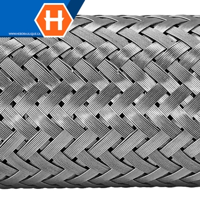 Boyau flexible standard embouts mâles NPT en inox