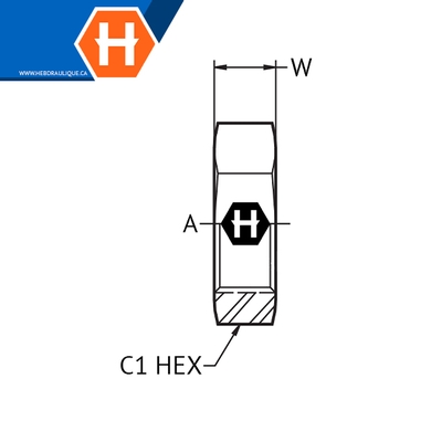 Noix 