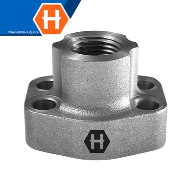 F.NPT x CO61 o-ring 4-bolts flange