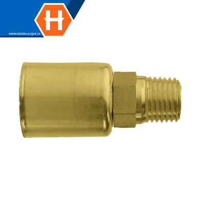 Raccord en laiton - 338P - boyau x M.NPT rigide