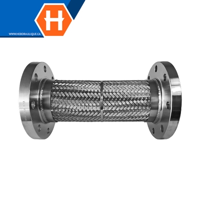 Boyau flexible standard embouts brides #150 inox 304