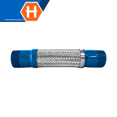 Boyau flexible standard embouts mâles NPT en acier