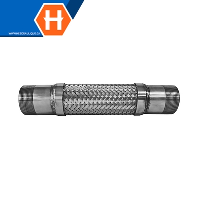 Boyau flexible standard embouts mâles NPT en inox