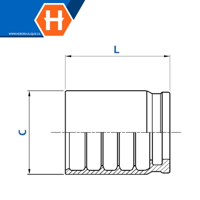 Ferrule « no-skive » 1SN, R1AT, 1SC, 2SC, R16, R17