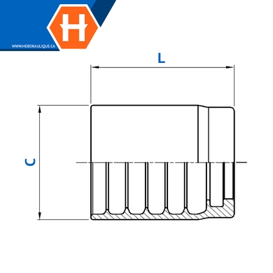 Ferrule « no-skive » 1SN, R1AT, 2SN, R2AT, 2SC…