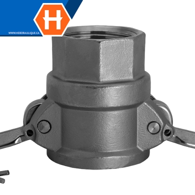 Raccord Cam & Groove – Partie D inox 316
