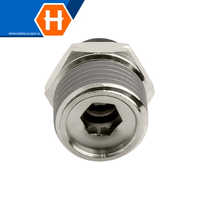 Connecteur (tube impérial) x M.NPT – pneumatique