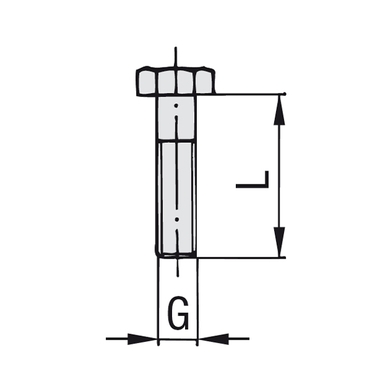 Boulon hex - type AS double - Gr.1D-5D