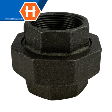 Union #150 - acier noir - F.NPT tournant